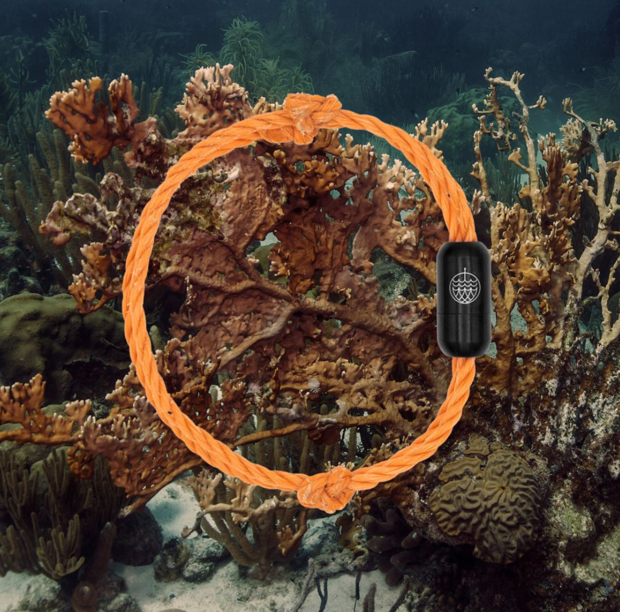 CORAL SEA Bracenet - schwarzer Verschluss