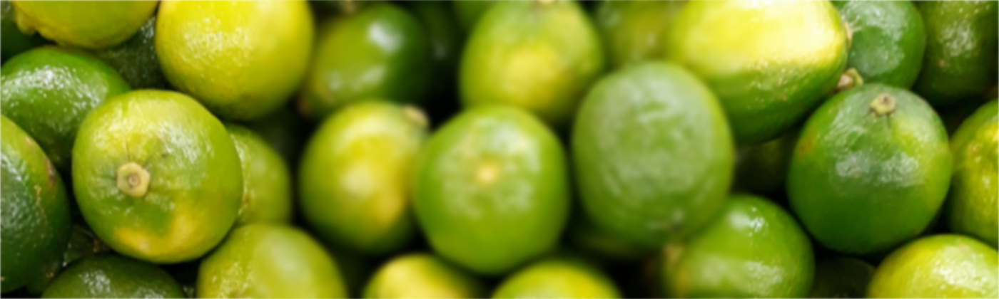 hamburg_shop_lemonaid_banner hamburg_shop_lemonaid_banner