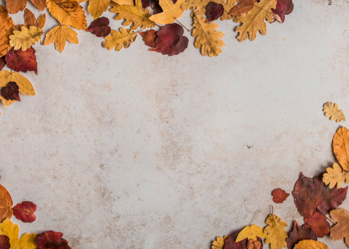 Herbst-Thema_Marion_Botella_Unsplash